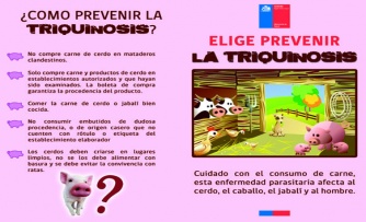 Brote de triquinosis despliega intenso operativo de la autoridad sanitaria